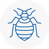 Bed Bug Extermination In Motherwell