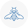 Bee Nest Removal Motherwell